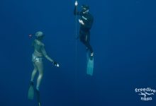 Photo of Что такое школа фридайвинга и зачем она нужна